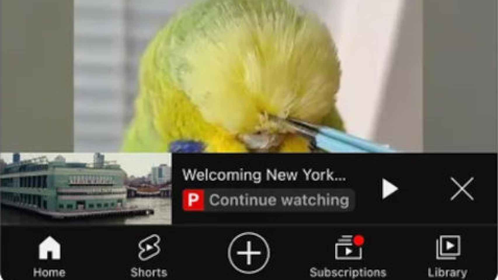 YouTube Premium nos permite seguir viendo vídeos que hemos empezado en otro dispositivo