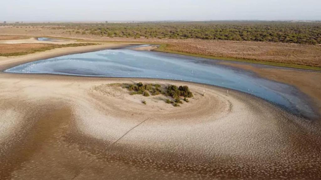 La laguna de Santa Olalla, en Doñana,  prácticamente seca.