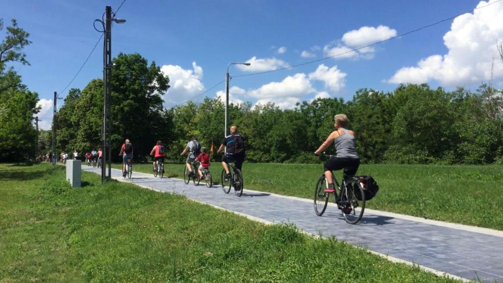 Pavimento solar en una carril bici