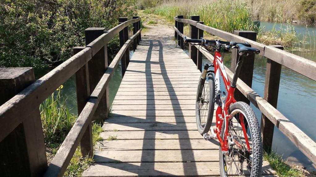 Una bicicleta en el Marjal de Pego.