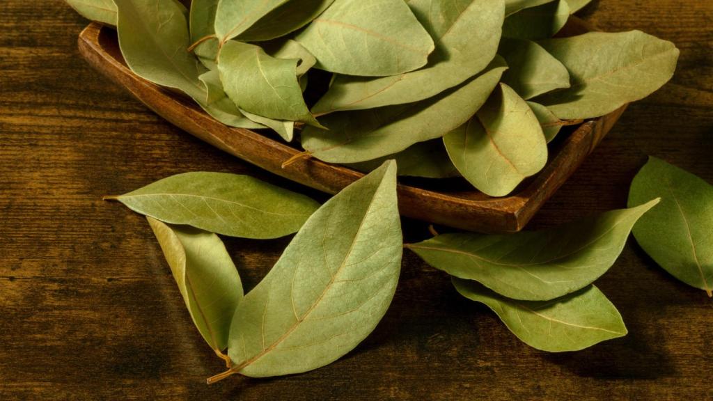 Una hoja de laurel debajo de la almohada: un truco con muchos beneficios