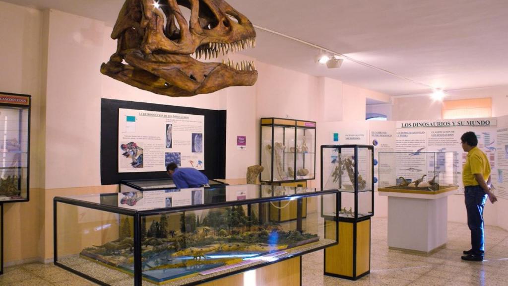 Imagen del Museo de Dinosaurios de Salas de los Infantes.