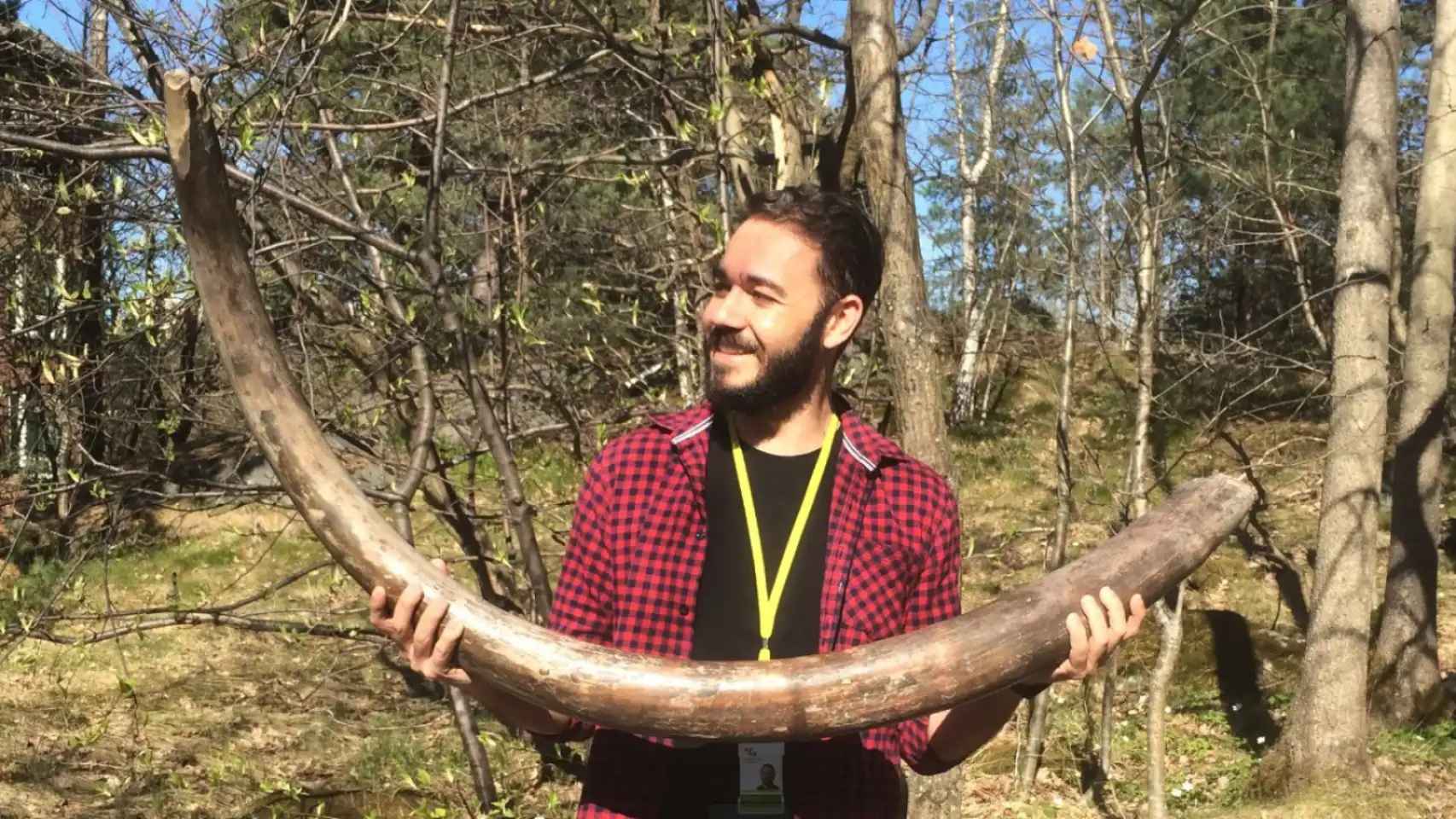 David Díez del Molino, paleogenetista español, con un colmillo de mamut lanudo.
