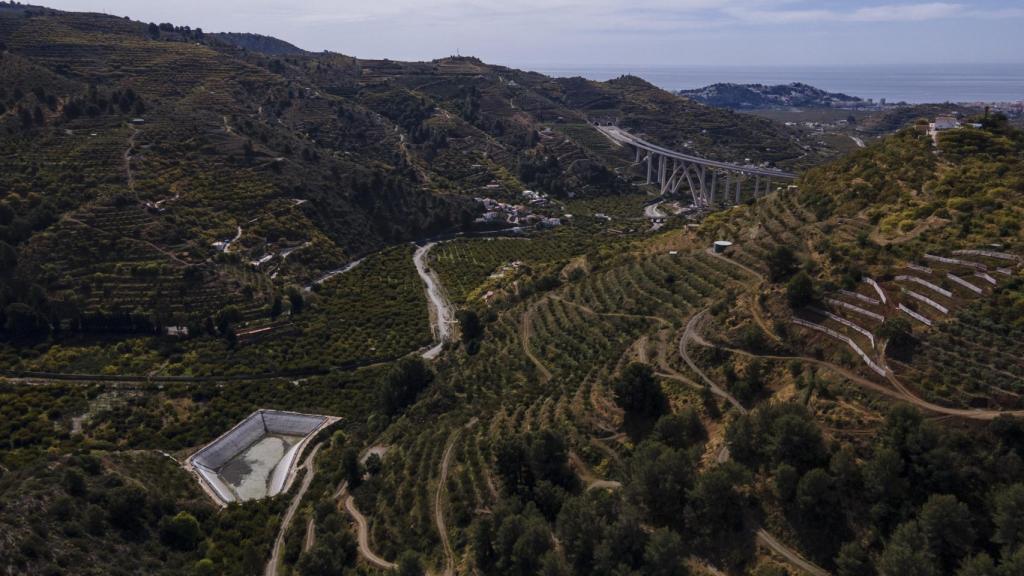 Vista aérea de los cultivos de Almuñécar, Costa de Granada, donde Ángel Rodríguez ha podado 200 aguacateros.