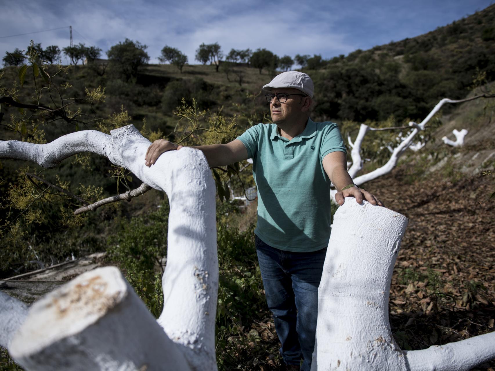 Ángel Rodríguez junto a sus árboles pintados de blanco para facilitar su recuperación.