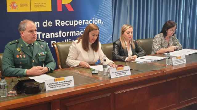 La delegada del Gobierno en Castilla y León, Virginia Barcones, durante la rueda de prensa de este viernes.