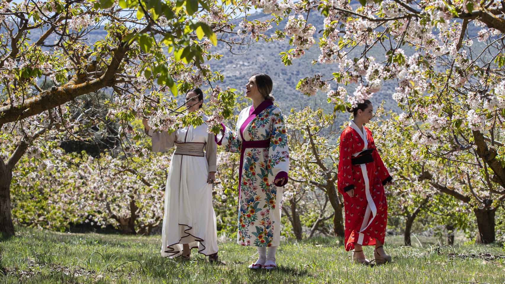 Unas vecinas del pueblo de Alfarnate vestidas con kimonos junto a unos cerezos.