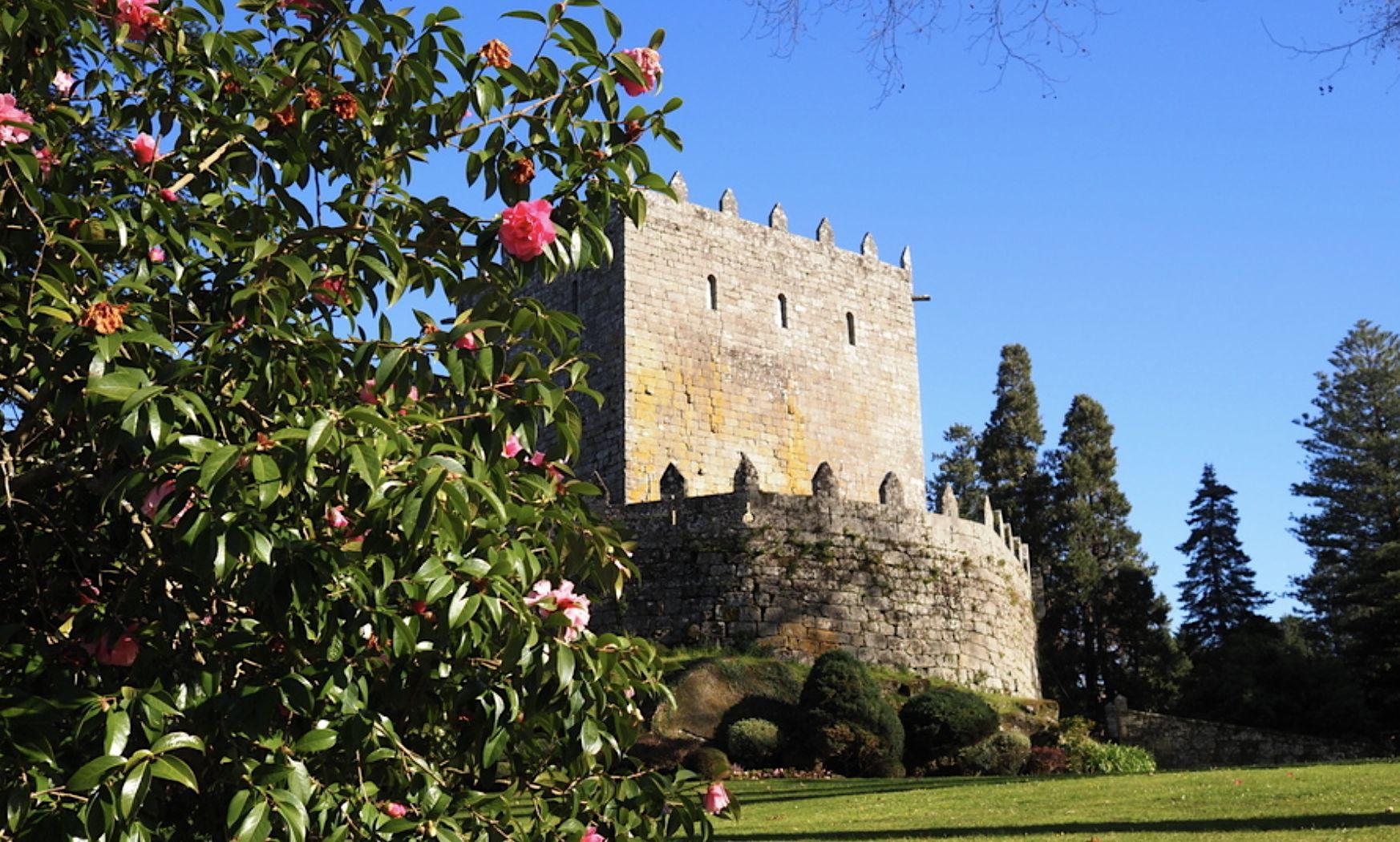 Camelias en el Castelo de Soutomaior, Pontevedra. Foto: Turismo Rías Baixas