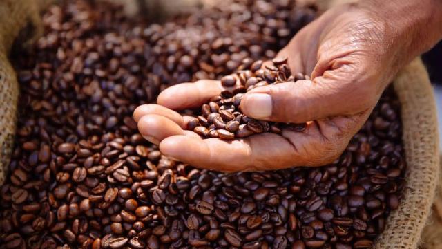 Café torrefacto, el peor del supermercado.