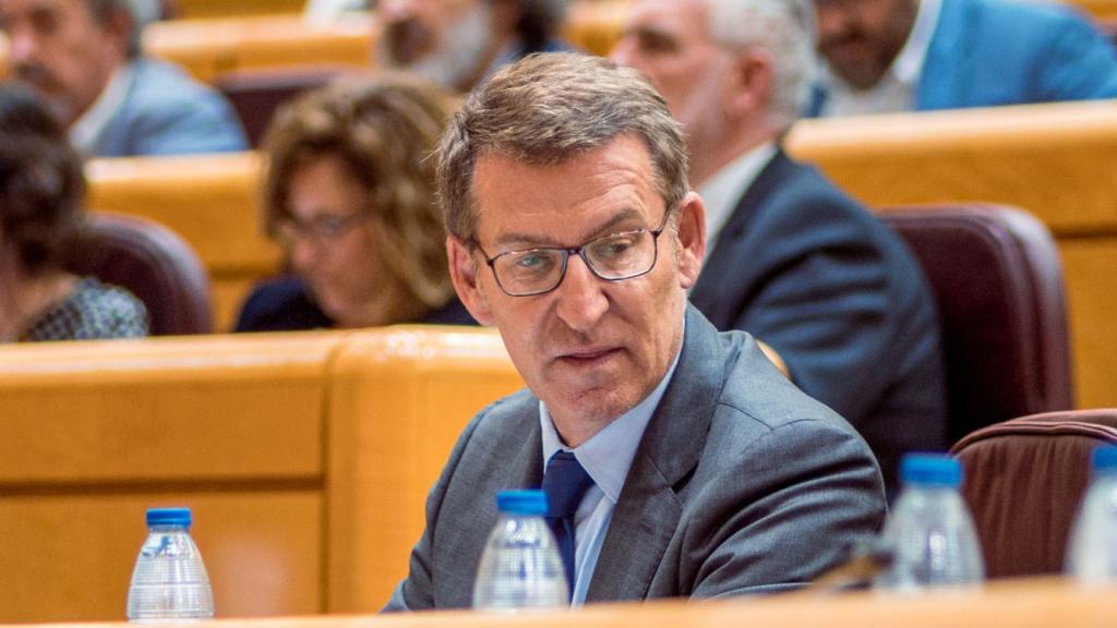 Alberto Núñez Feijóo, líder del PP, este miércoles en el Senado.