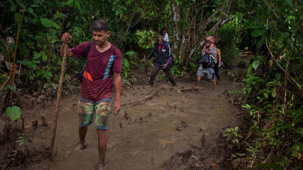 Una etapa de selva densa en el recorrido a través del Tapón del Darién.