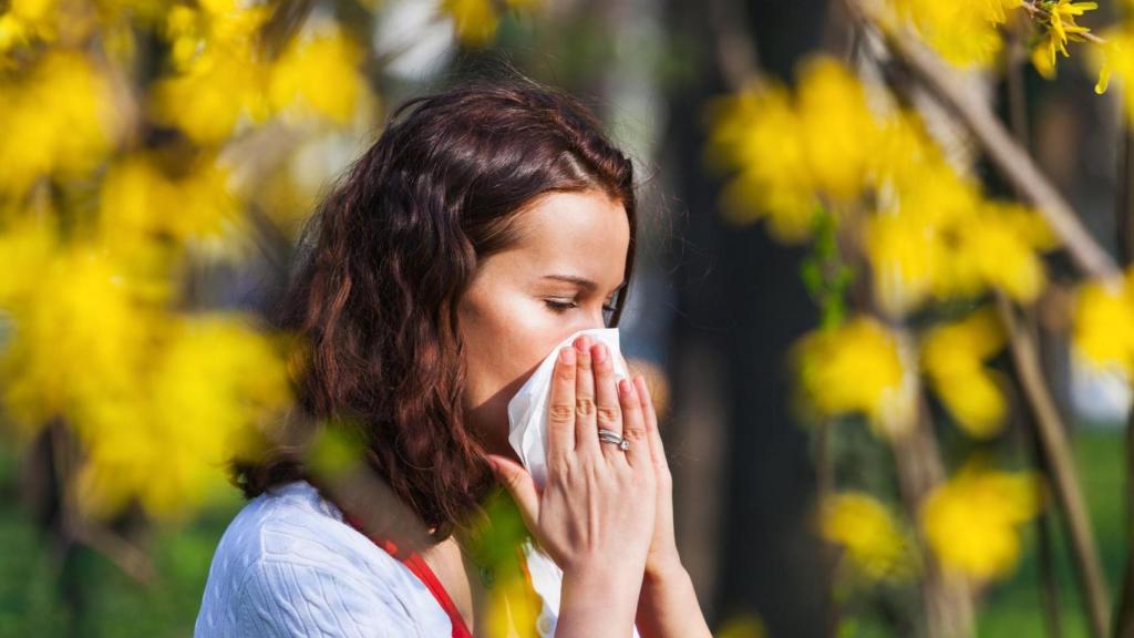 Alergia al polen en Galicia: previsión para la temporada y los consejos de una alergóloga