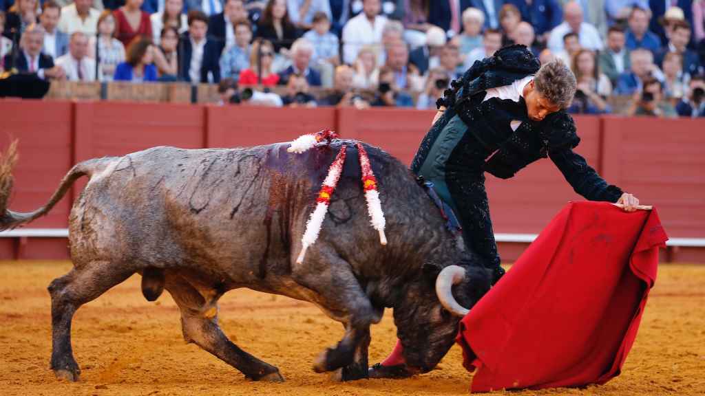 El torero Manuel Escribano da un muletazo a 'Patatero' de Victorino Martín en Sevilla.