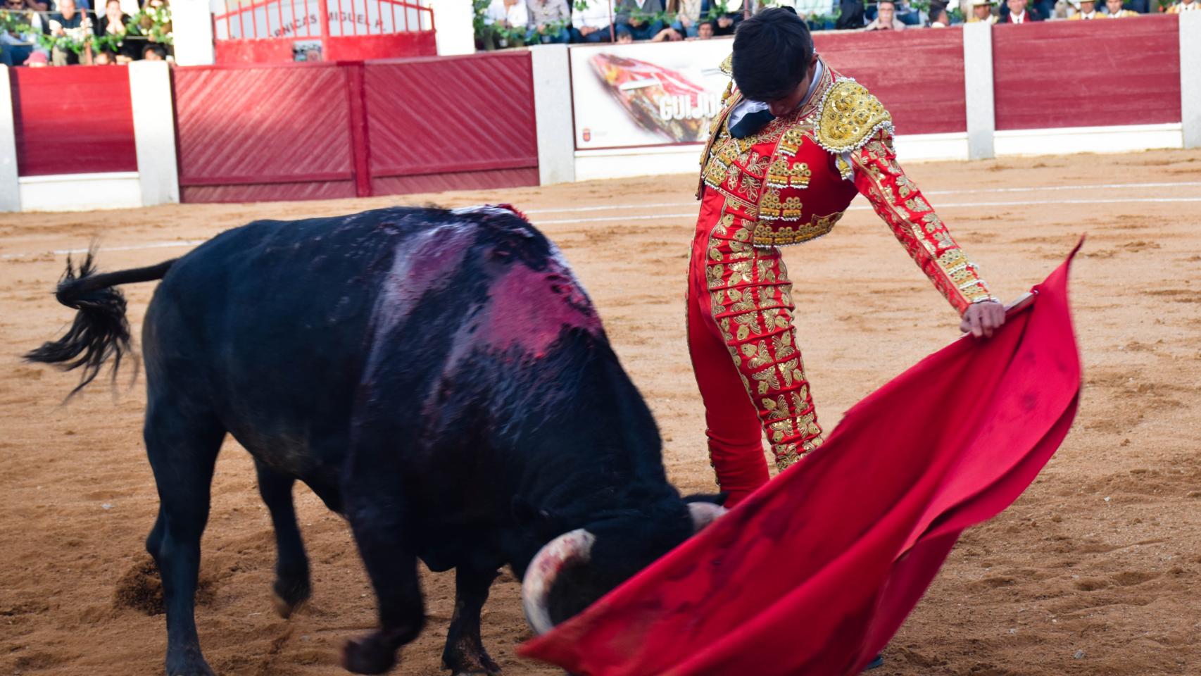 Manuel Diosleguarde en la corrida de toros del Día de Castilla y León en Guijuelo