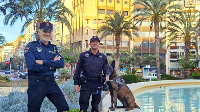 Javi Morón y Kiko Pérez con la perra 'Inga' trabajan en la policía local de La Vila Joiosa.