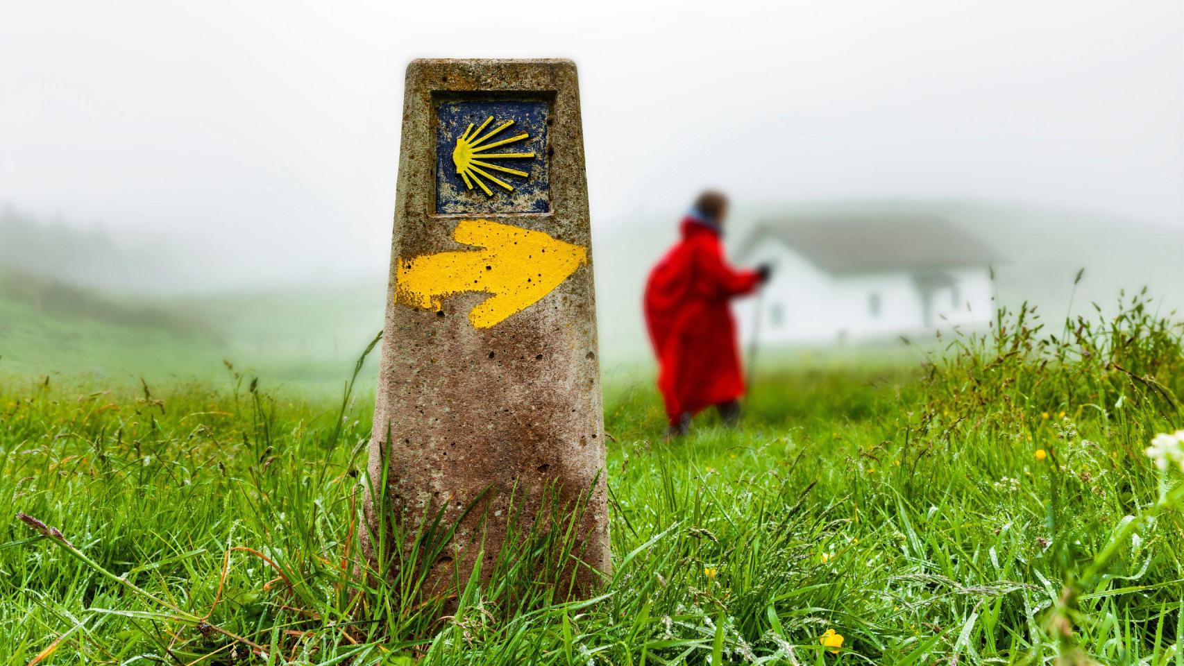 El Camino de Santiago por primera vez: guía para principiantes