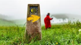 El Camino de Santiago por primera vez: guía para principiantes