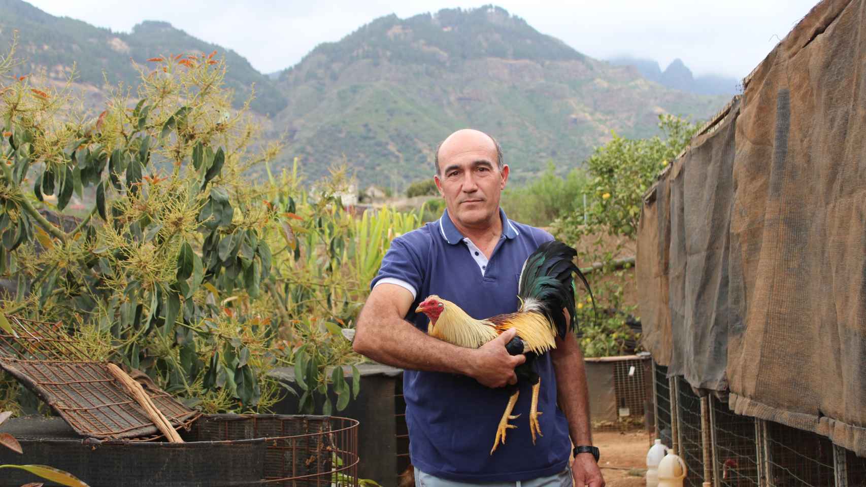 José Luis, en su gallera, con uno de los gallos.