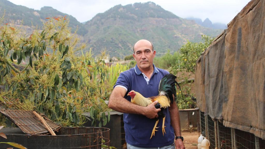José Luis, en su gallera, con uno de los gallos.