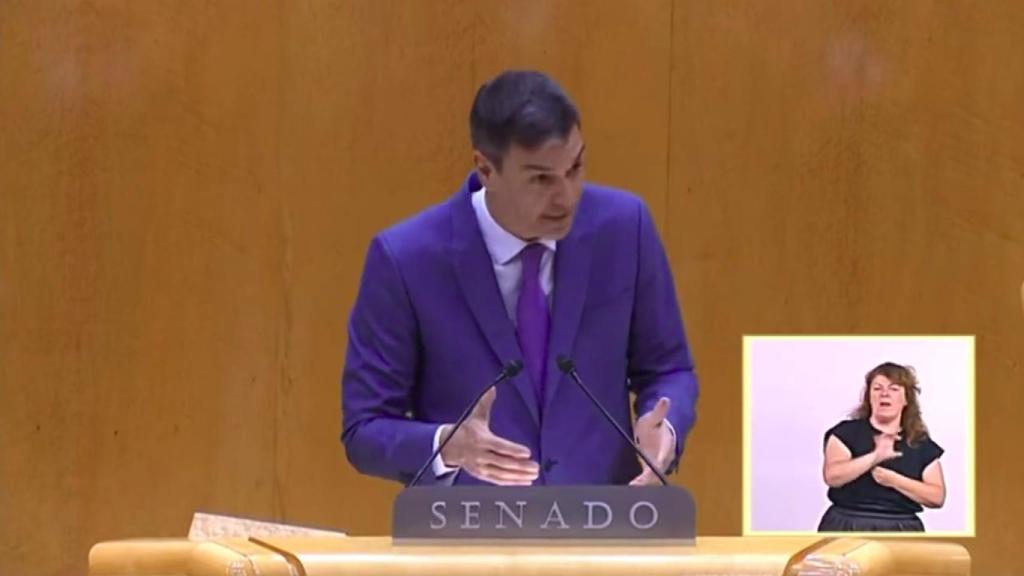 Sánchez durante su discurso, interpretado por Raquel.