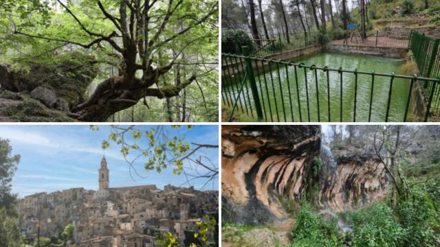 Imágenes de la ruta de las fuentes en Alfafara (Alicante).