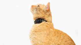 Tile para Gatos es un rastreador barato con el que ubicar rápidamente a tu mascota con la voz