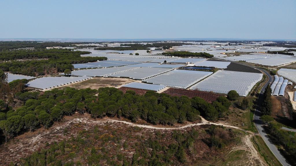 Vista aérea de las hectáreas de regadío dentro y fuera del Suelo Agrícola Regable (SAR).