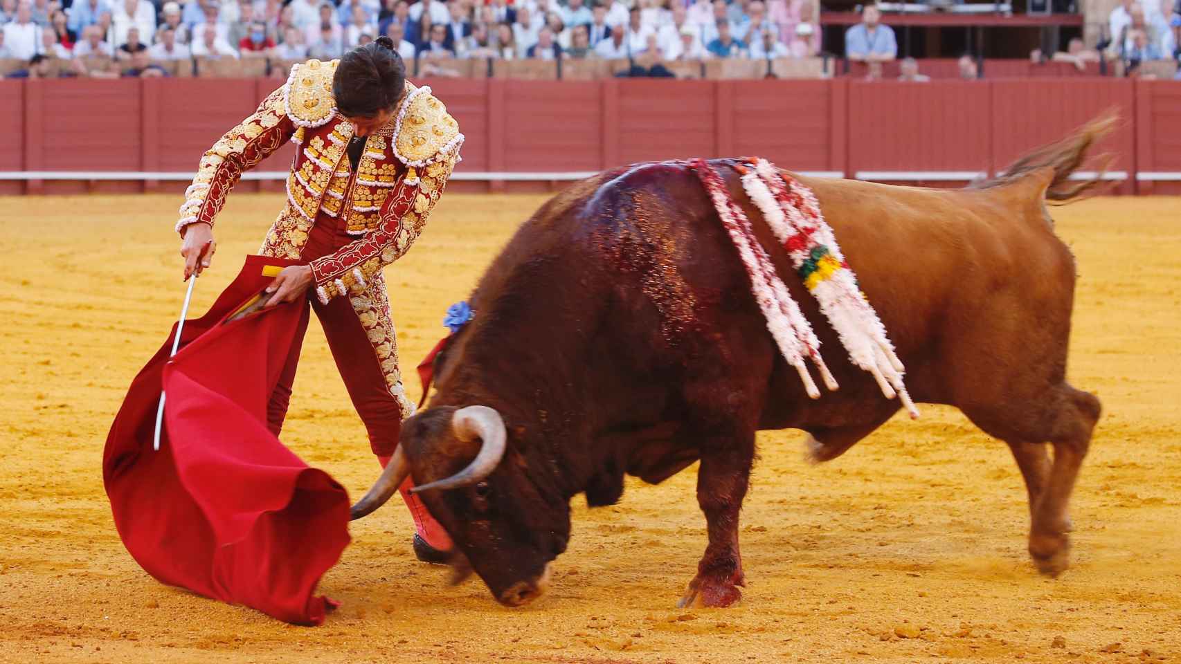 El torero Diego Urdiales torea al natural en la Maestranza de Sevilla.