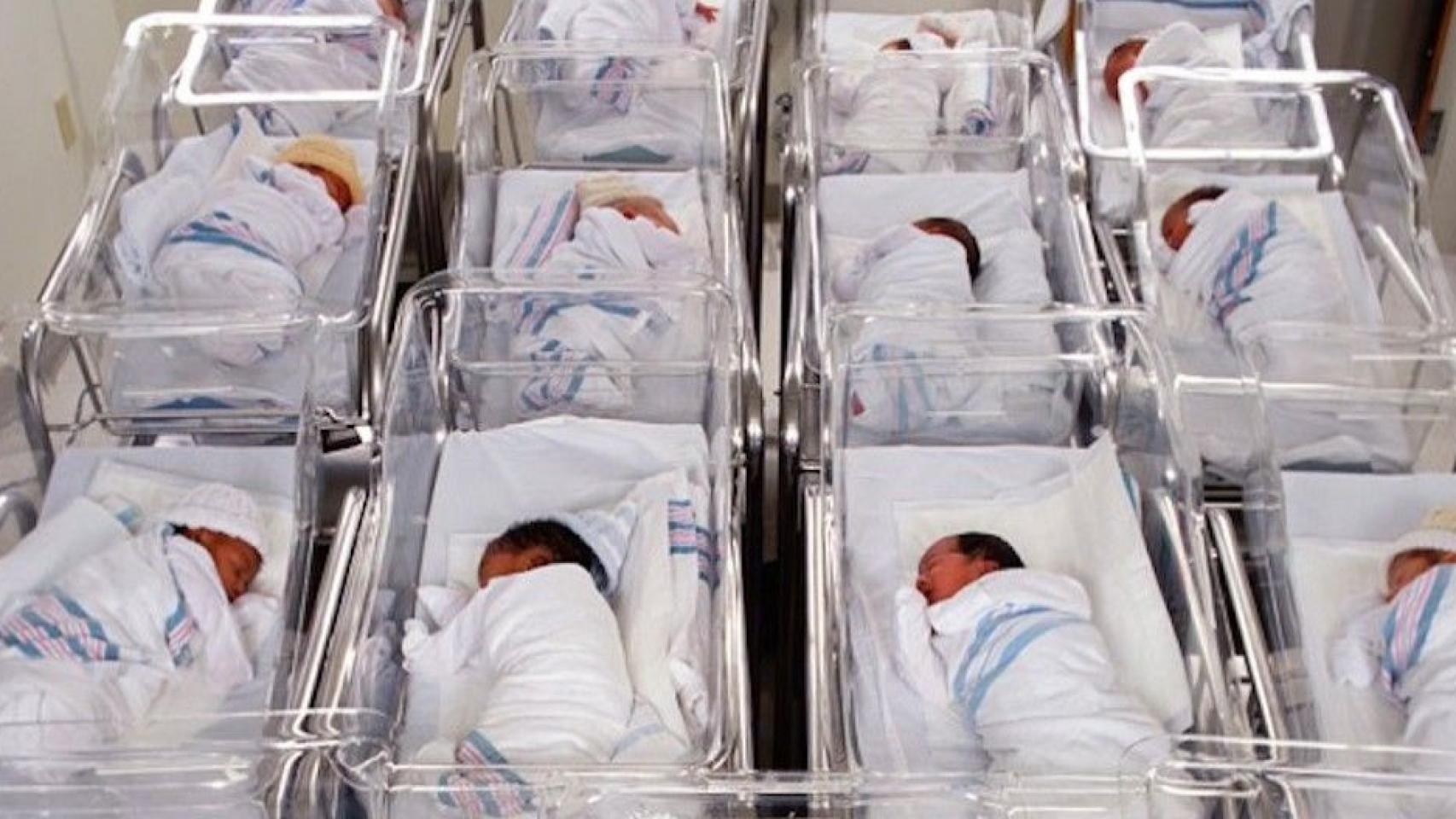 Bebés nacidos en un hospital.