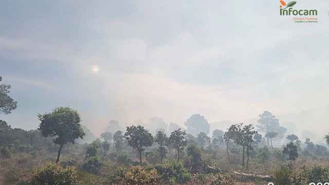 Incendio en Consuegra (Toledo). Foto: Plan Infocam.