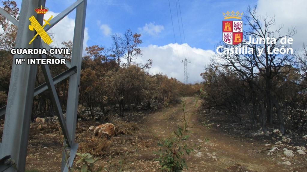 Apoyo de la línea eléctrica de evacuación en la que se originó un incendio en el municipio burgalés de Los Altos