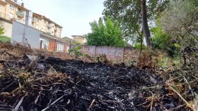 Daños que ha ocasionado el incendio de Valencia de Don Juan