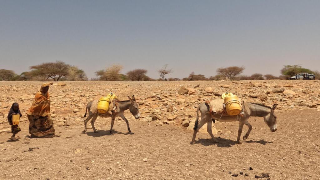 Una mujer y una niña buscando agua.