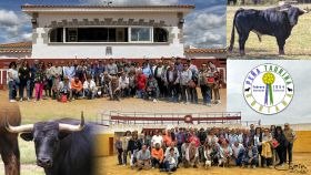 La peña taurina soriana durante su visita a las ganaderías de bravo del campo de Salamanca