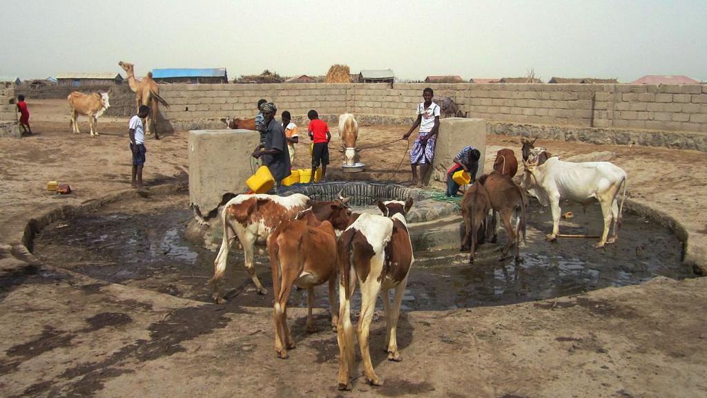 Aldeanos sacan agua de un antiguo pozo en la aldea de Zula, cerca del sitio arqueológico de Adulis, al sur de Massawa, Eritrea.