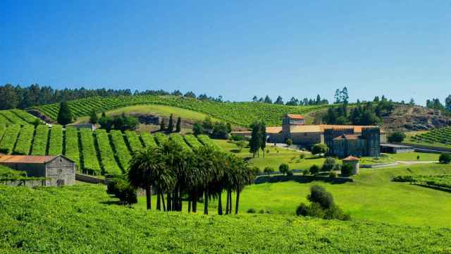 Bodegas Condes de Albarei.