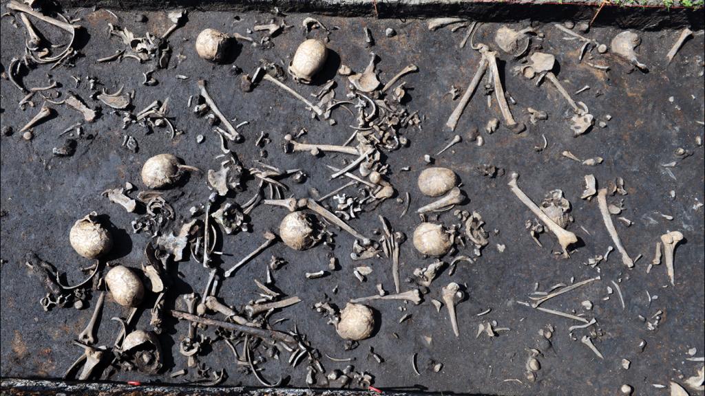 Cadáveres en el barro, caídos en la batalla de la Edad del Bronce del valle de Tollense. Foto: S. Sauer