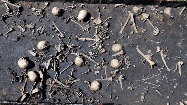 Cadáveres en el barro, caídos en la batalla de la Edad del Bronce del valle de Tollense. Foto: S. Sauer