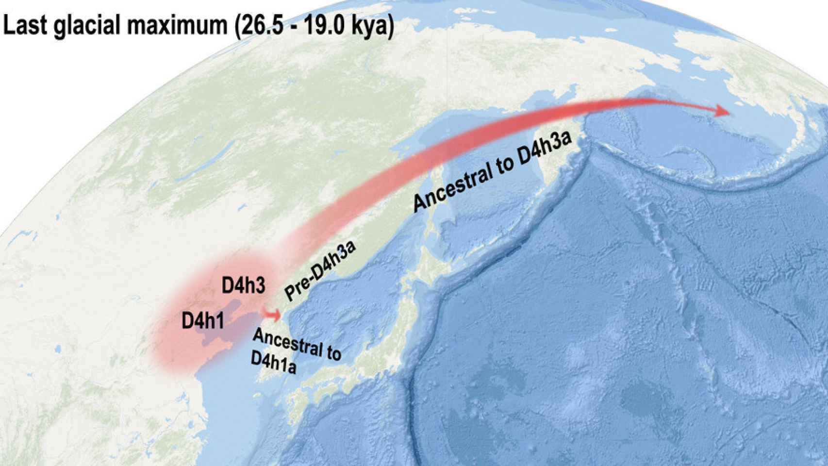 Rutas migratorias desde el norte de la actual China hasta América en la Edad del Hielo. Imagen: Li et al.