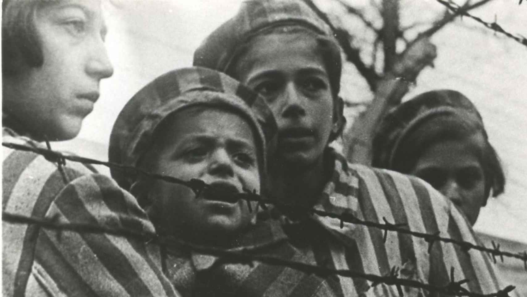 Niños presos en el campo de concentración de Auschwitz.