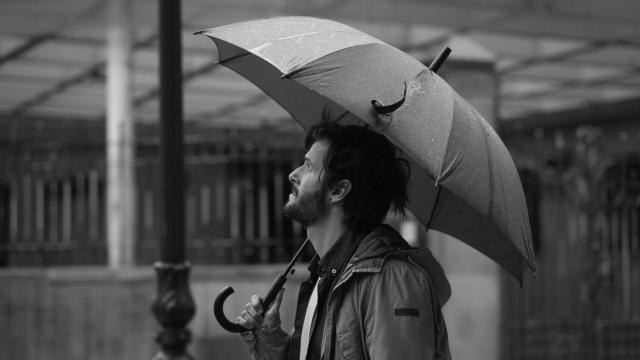 Una imagen de 'La quietud en la tormenta'