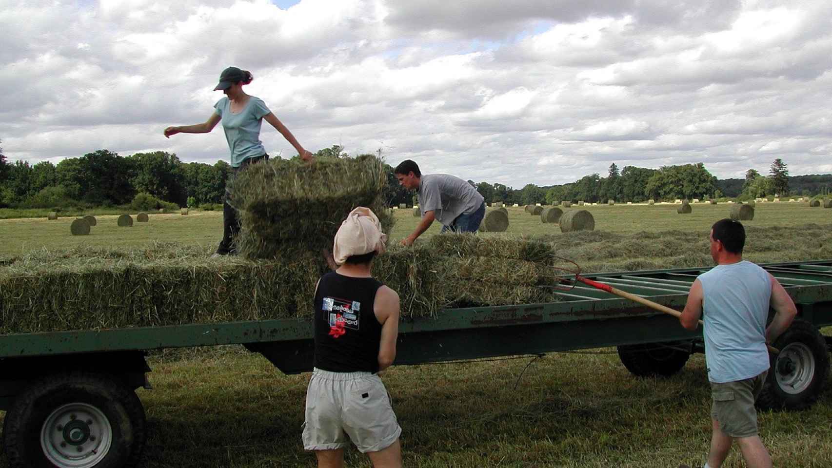 Agricultores trabajando durante el verano.