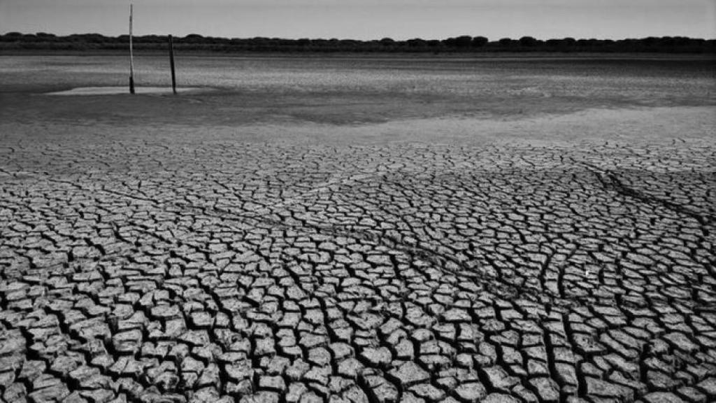 Un pantano sin agua.