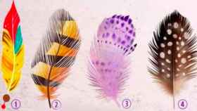 ¿Con cuál de estas cuatro plumas te quedas?