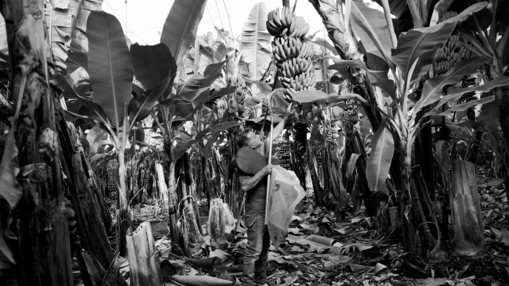 Fotografía de 'El legado que seremos' de Álvaro Ybarra.