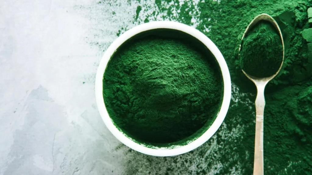 Un cuenco con espirulina en polvo.