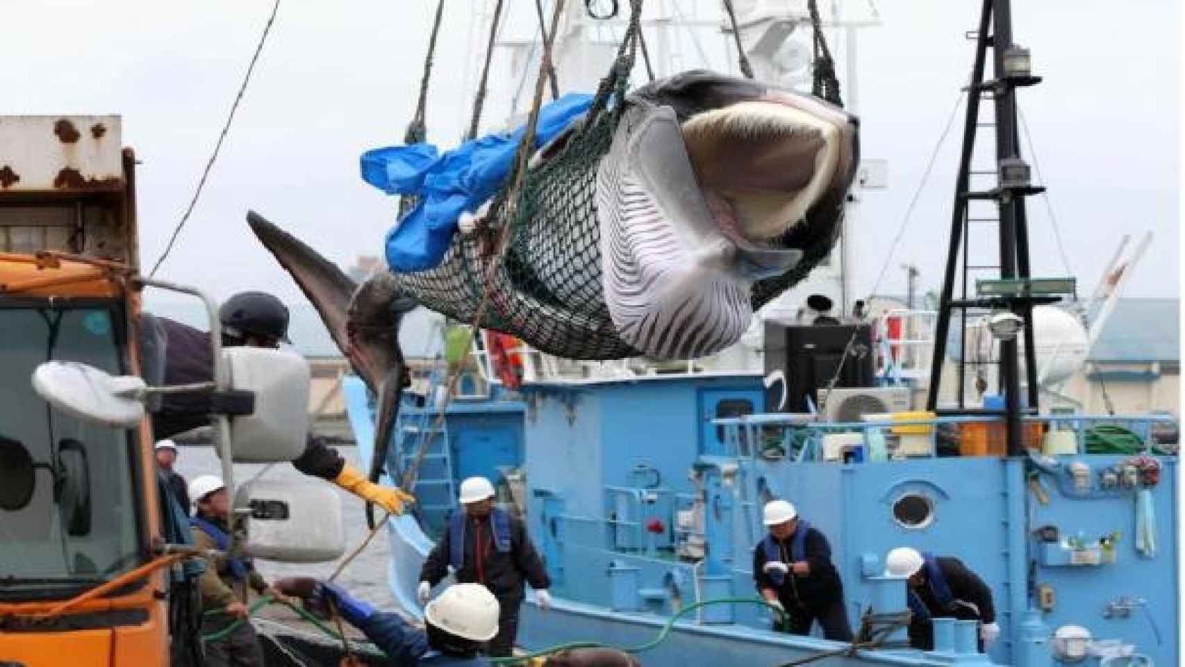 Un barco islandés pesca una ballena