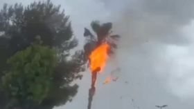 Así se quemaba la palmera en un municipio de Alicante a causa de un rayo