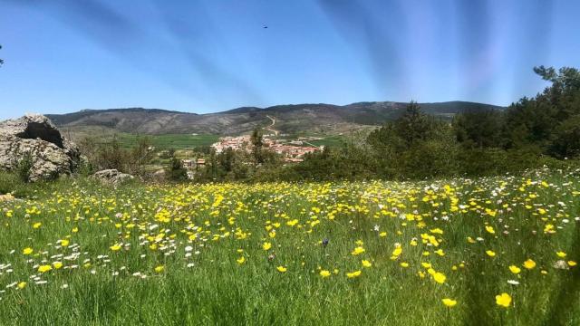 El pueblo de Castilla-La Mancha donde gobiernan PP y PSOE: No importan las siglas