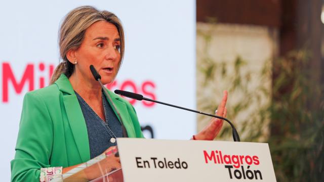 Milagros Tolón, en una imagen reciente de Javier Longobardo